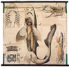 Hai, Shark Anatomy Wall Chart by Paul Pfurtscheller, 1902 - Josef und Josefine