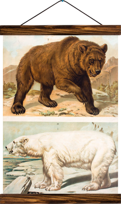 Brown and Ice Bear, reprint on linen