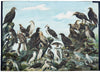 Birds of prey, 1910 - Josef und Josefine