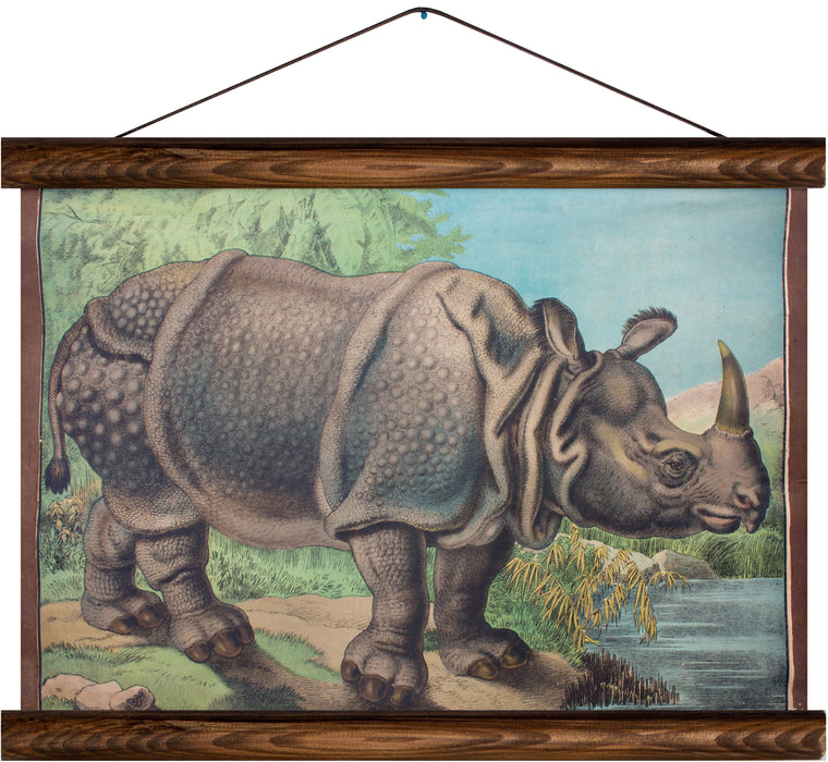 Rhino, reprint on linen