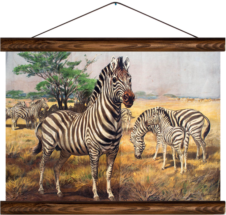 Zebras, reprint on linen