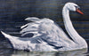 Schwan, swan, Schönbrunn Series, Vintage Wall Chart, 1916 - Josef und Josefine