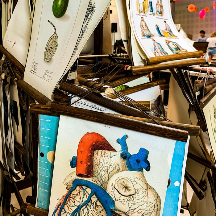Reprint Wall Charts - Josef und Josefine