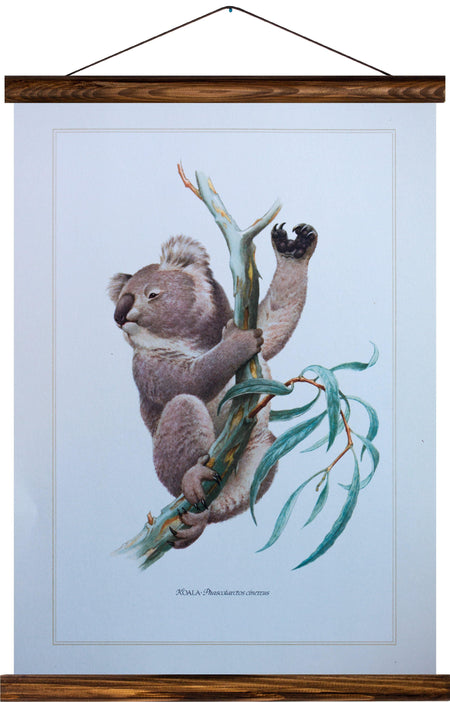 Koala bear, reprint on linen - Josef und Josefine
