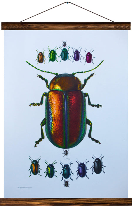 Leaf beetles, reprint on linen - Josef und Josefine
