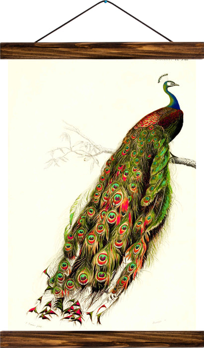 Peafowl, reprint on linen - Josef und Josefine
