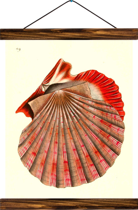 Shell, reprint on linen - Josef und Josefine