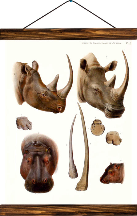 Rhino and hippo, reprint on linen - Josef und Josefine