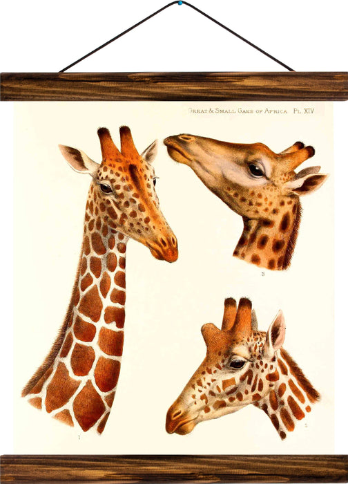 Giraffe, reprint on linen - Josef und Josefine