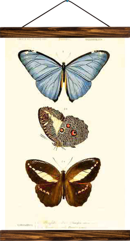 Butterflies , reprint on linen - Josef und Josefine