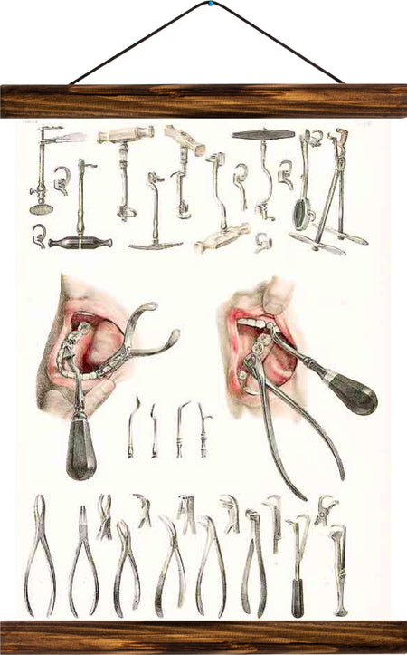 Dental techniques, reprint on linen - Josef und Josefine