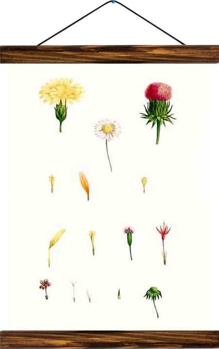 Flowers, reprint on linen - Josef und Josefine