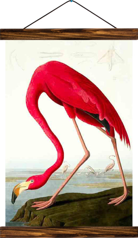 Flamingo, reprint on linen - Josef und Josefine