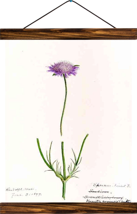 Flower, reprint on linen - Josef und Josefine