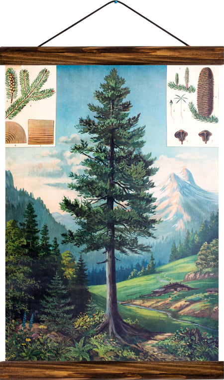Fire tree, reprint on linen - Josef und Josefine