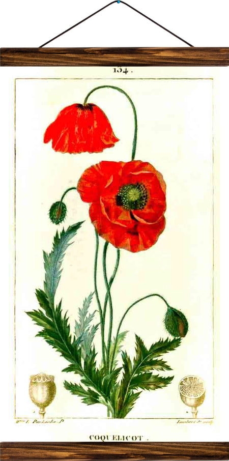 Flower, reprint on linen - Josef und Josefine