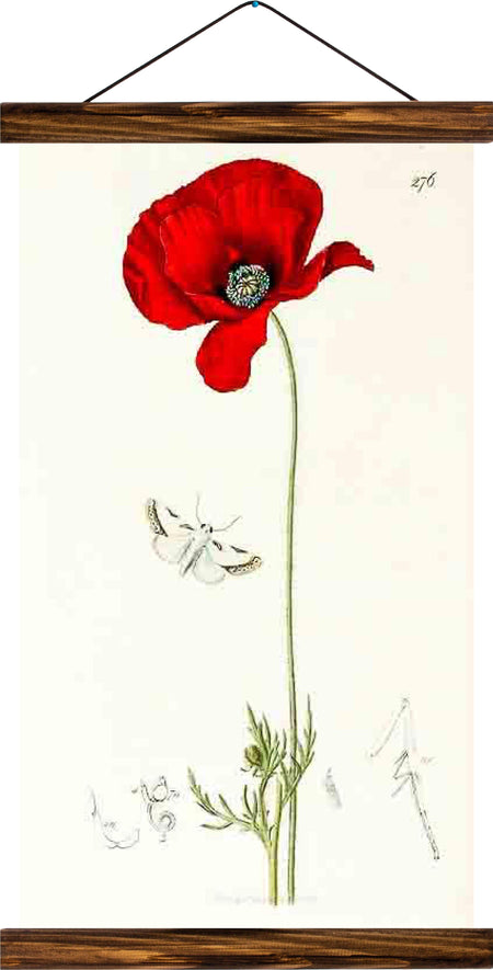 Flower, reprint on linen - Josef und Josefine