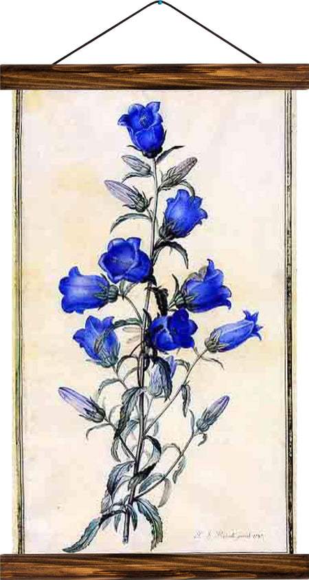 Flower, reprint on linen - Josef und Josefine