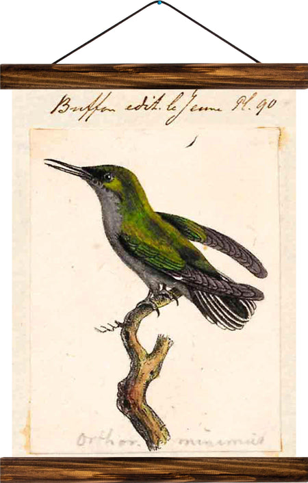 Bird, reprint on linen - Josef und Josefine