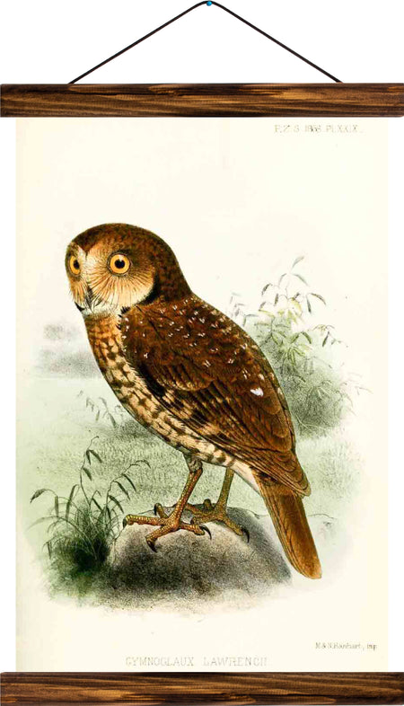 Owl reprint on linen - Josef und Josefine