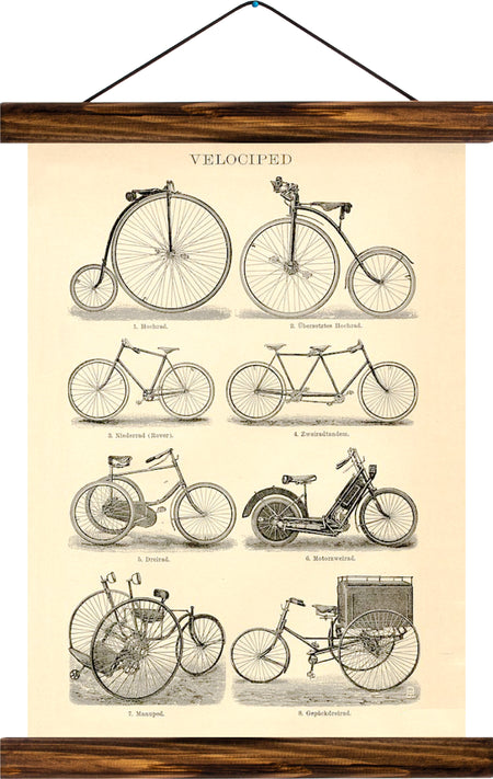 Velocipede, reprint on linen - Josef und Josefine