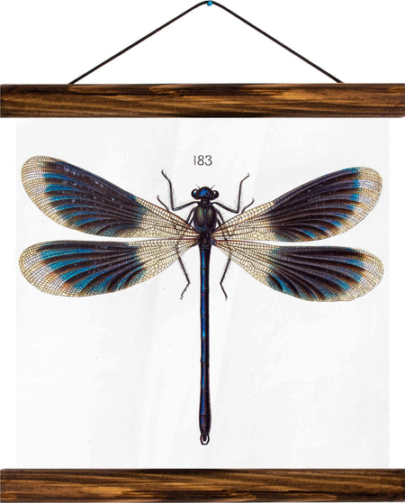 Dragon fly, reprint on linen - Josef und Josefine