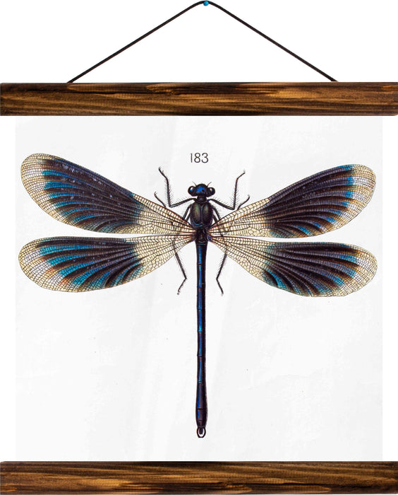 Dragon fly, reprint on linen - Josef und Josefine