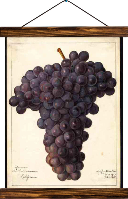 Grapes, reprint on linen - Josef und Josefine