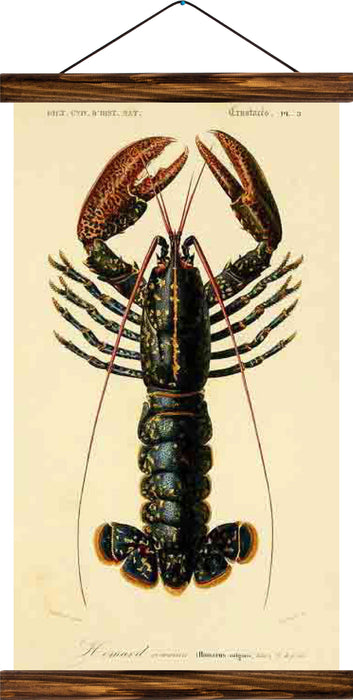 Lobster, reprint on linen - Josef und Josefine