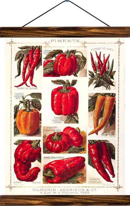 Peppers, reprint on linen - Josef und Josefine