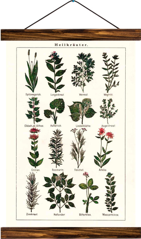 Medicinal herbs, reprint on linen - Josef und Josefine