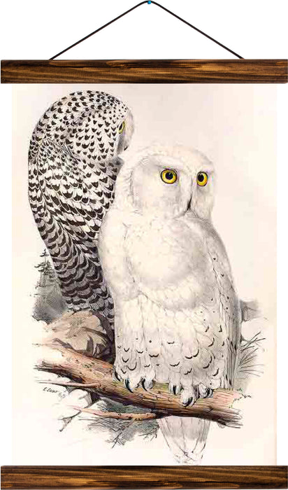 Owls, reprint on linen - Josef und Josefine