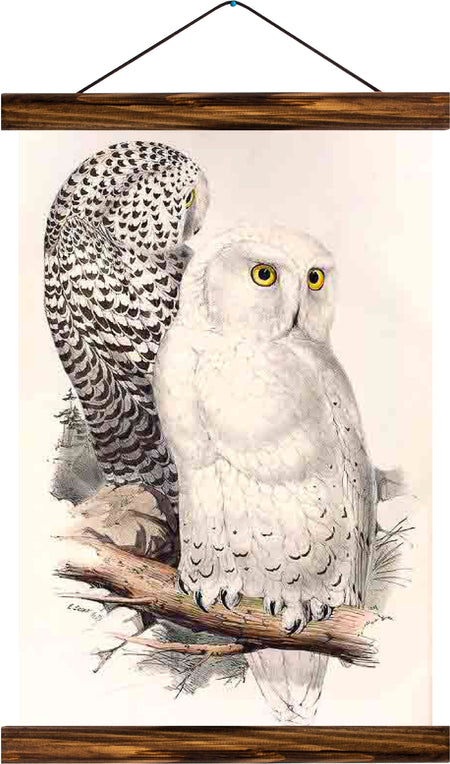 Owls, reprint on linen - Josef und Josefine