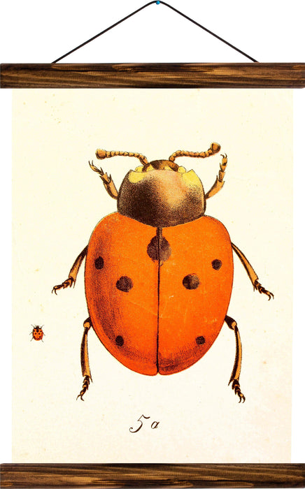 Ladybug, reprint on linen - Josef und Josefine