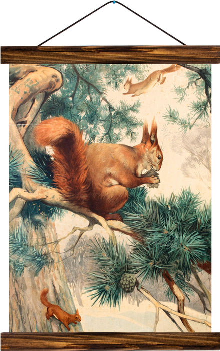 Squirrel, reprint on linen - Josef und Josefine