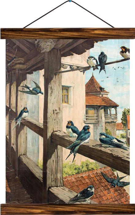 Birds, reprint on linen - Josef und Josefine