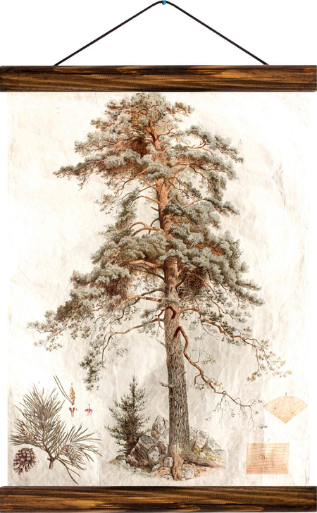 Copy of Scots pine, reprint on linen - Josef und Josefine