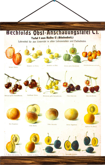 Different types of fruits, reprint on linen - Josef und Josefine