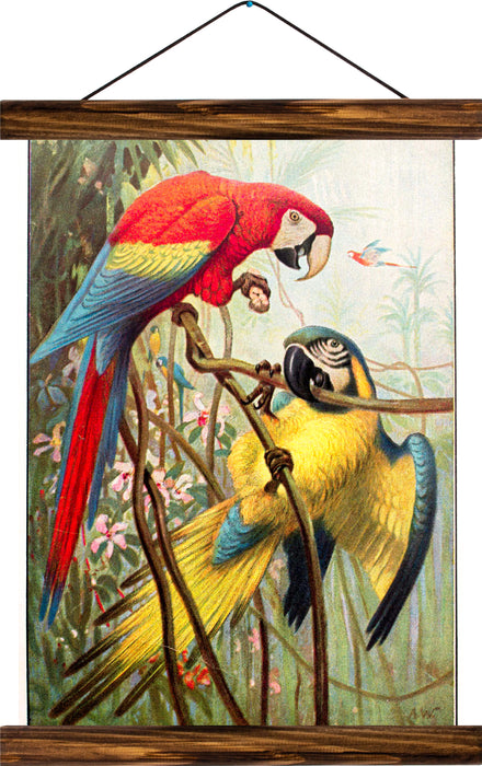 Parrots, reprint on linen - Josef und Josefine