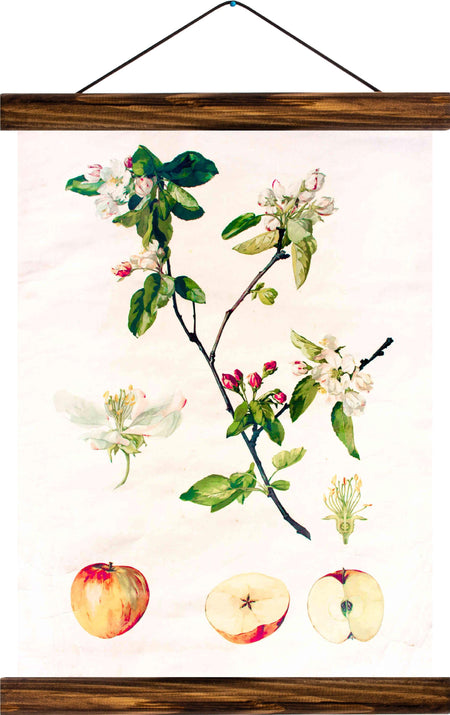 Apple tree blossom, reprint on linen - Josef und Josefine