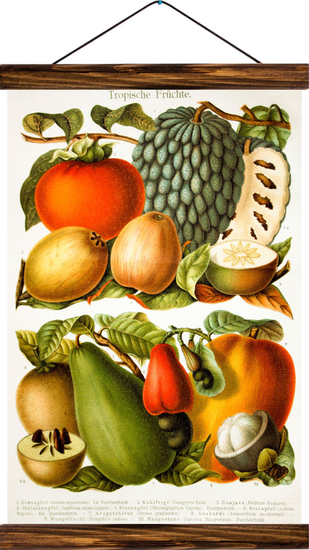 Tropical Fruits, reprint on linen - Josef und Josefine