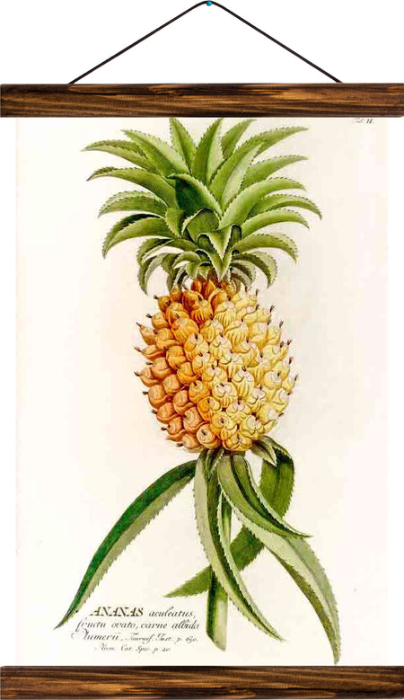 Pineapple, reprint on linen - Josef und Josefine