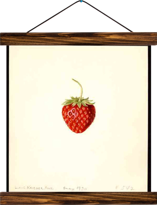 Strawberry, reprint on linen - Josef und Josefine