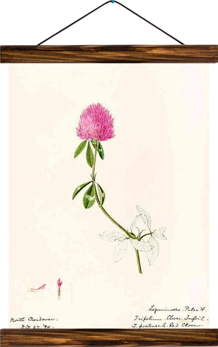 Flower, reprint on linen - Josef und Josefine