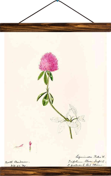 Flower, reprint on linen - Josef und Josefine