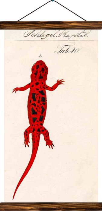 Salamanders, reprint on linen - Josef und Josefine