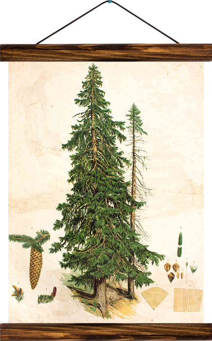 Pine tree, reprint on linen - Josef und Josefine
