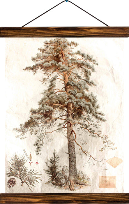 Fir tree, reprint on linen - Josef und Josefine