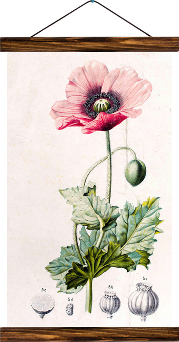 Flower, reprint on linen - Josef und Josefine