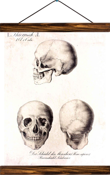 Human head, reprint on linen - Josef und Josefine